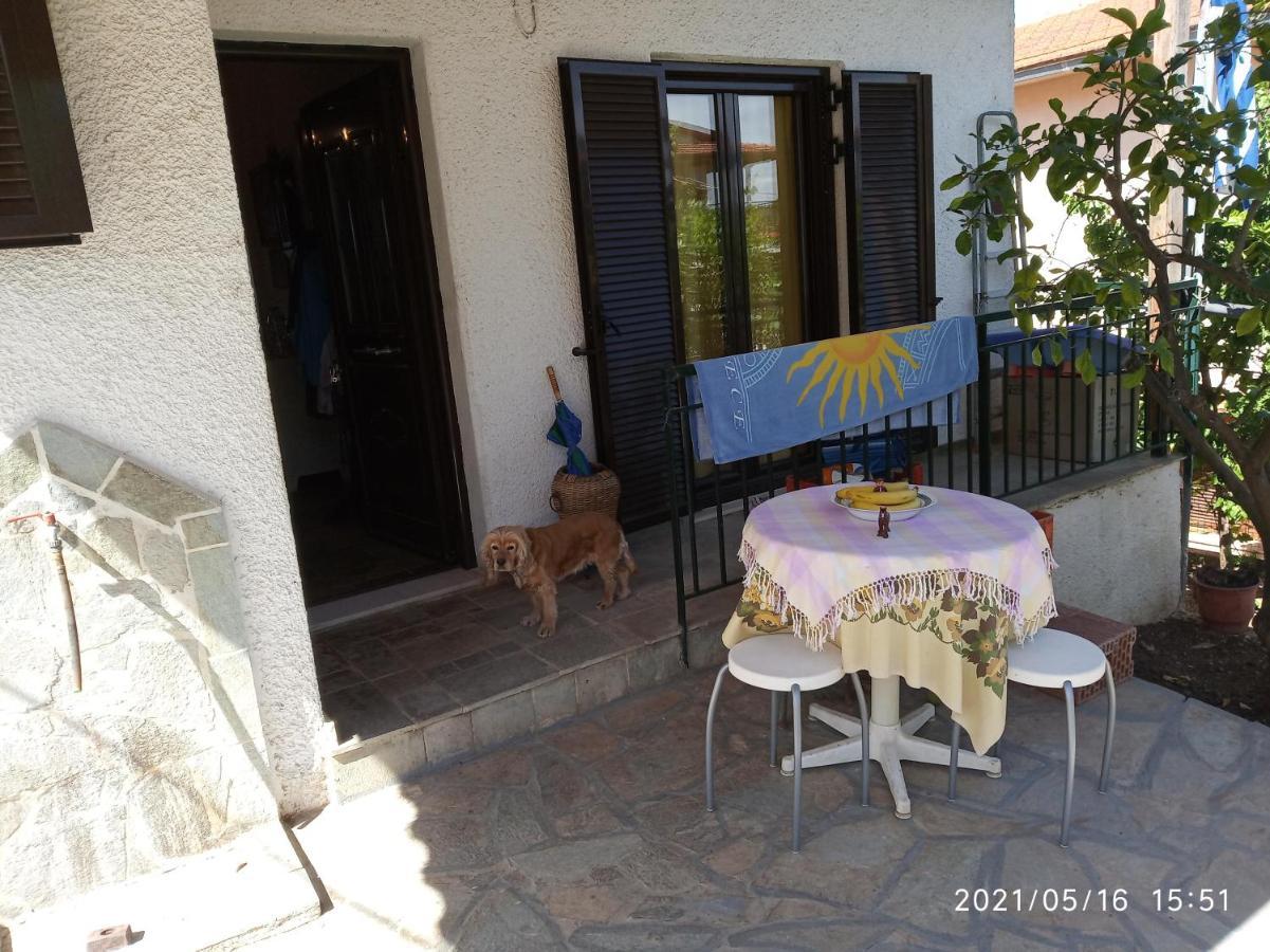 Sea View Dilesi Villa Dhilesi Ngoại thất bức ảnh